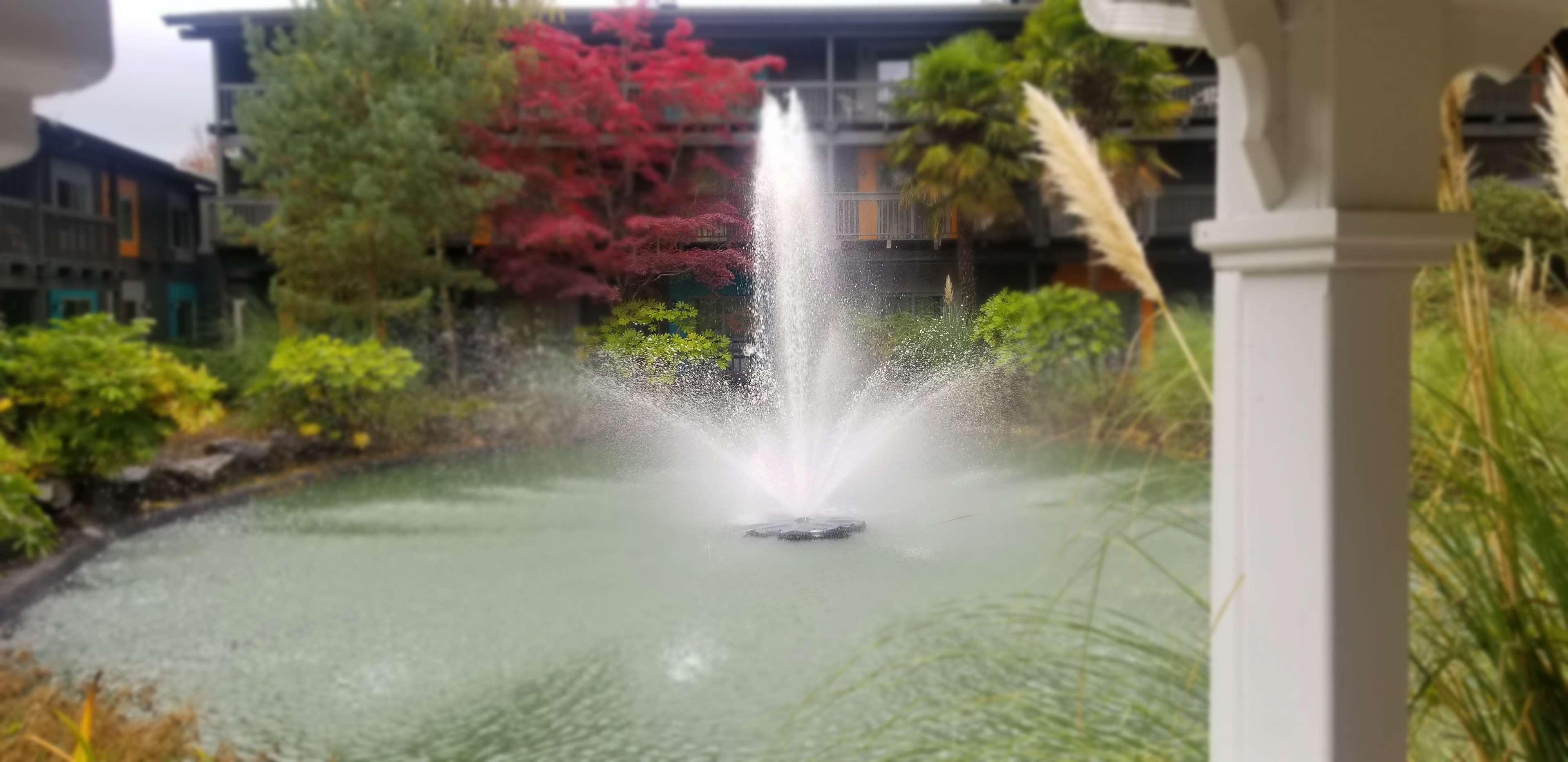 Best Western Portland West Beaverton Εξωτερικό φωτογραφία
