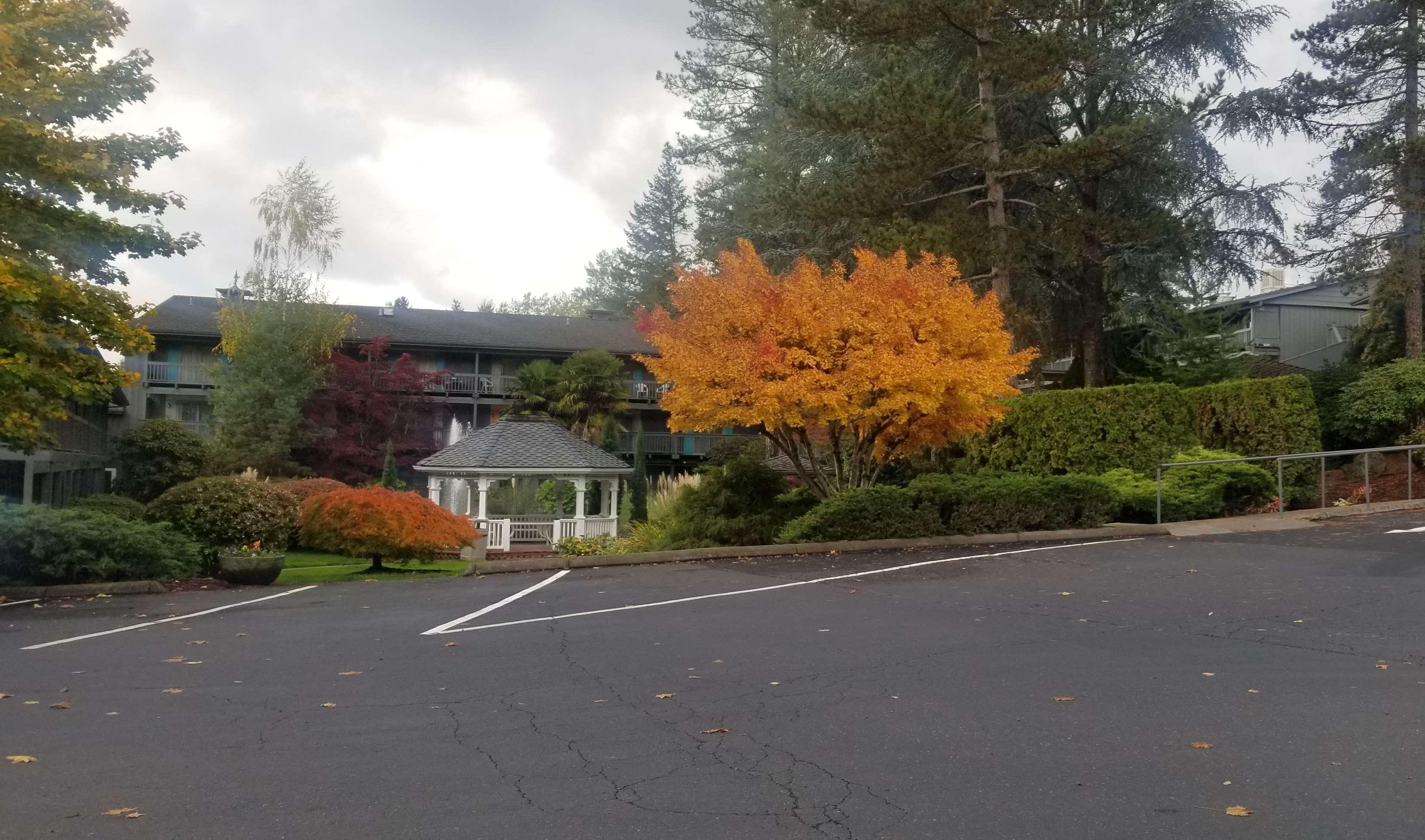 Best Western Portland West Beaverton Εξωτερικό φωτογραφία